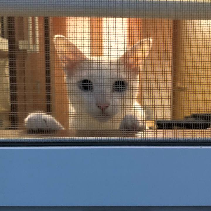 3d95c4f2 8056 492d 826c e1bddcea02f7 1559903229444