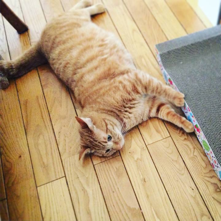 3d95d4bb 1129 4fe3 841b 8b782489047b 1555888787995