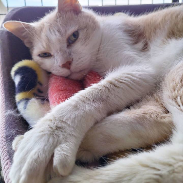 3d95e42d aceb 4986 9e12 d17bb29020f6 1685572157749