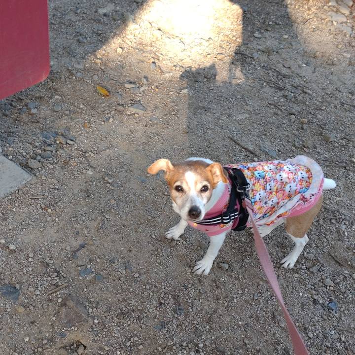 3d95e92c 3171 4d4f b6f2 caa013877608 1761781646788