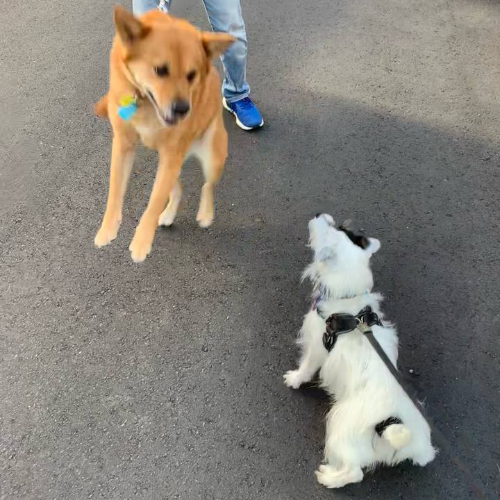 3d95f0d0 b699 400a b4f3 54251a864427 1755903589452