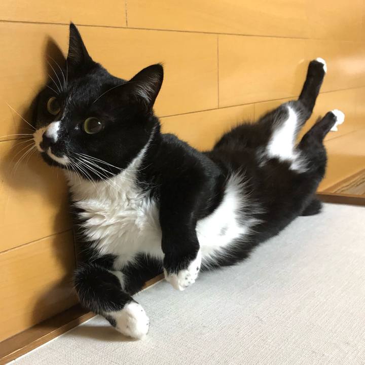 3d95fae3 41c3 42d1 b2e1 390270734625 1632713410796