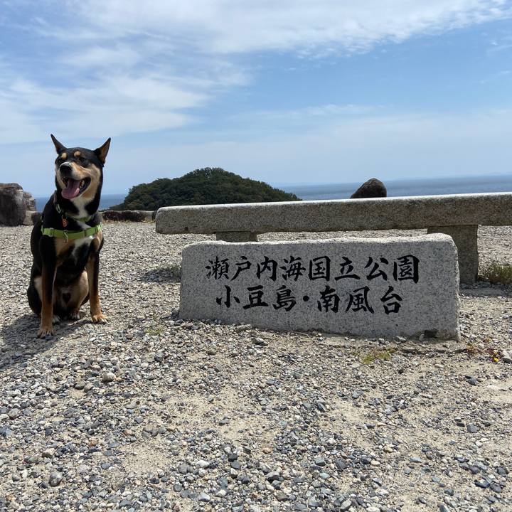 3d966dca e38d 44ac 85e5 d3871fb7a63b 1619264186815