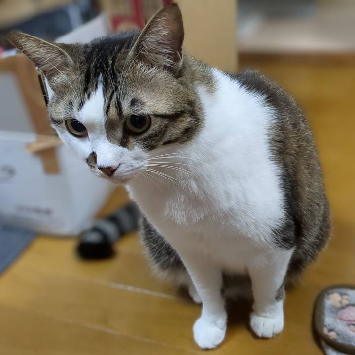 3d967e15 5f3f 4209 843e 5e4e0234aa06 1673868269501