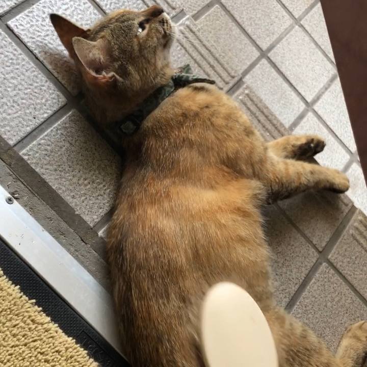 3d969e23 06dc 4859 88f1 f8d9b44fd71a 1592366321675