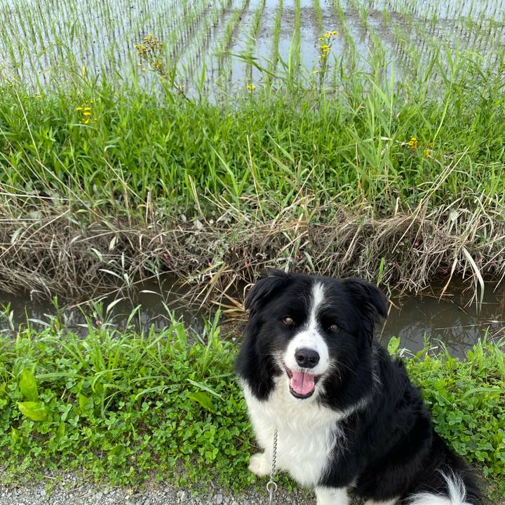 3d96c53b 9338 41dd 878c 6060bb98b992 1595029415211