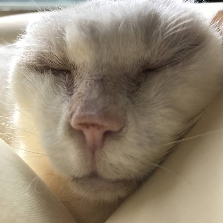 3d96d107 ef24 4e50 bc96 a14992c23691 1536797924751