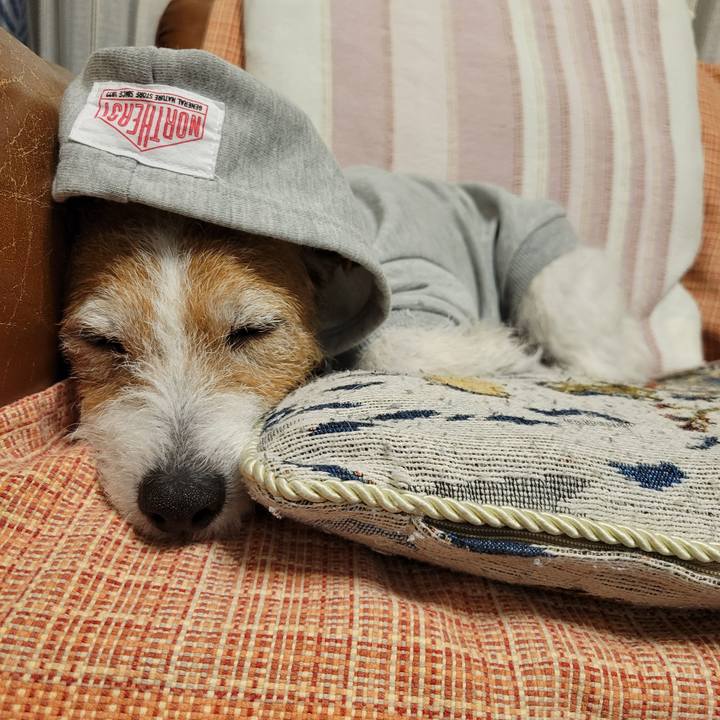 3d96d2a0 d077 472f b820 1fd7ca6ef670 1735657441740