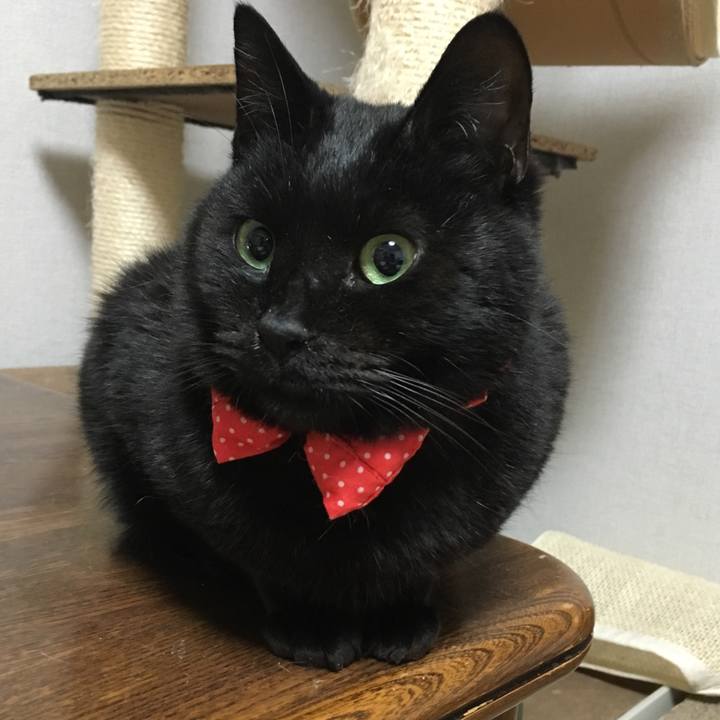 3d96ddd1 cdbd 43ce 8411 400274d89f2f 1547715253489