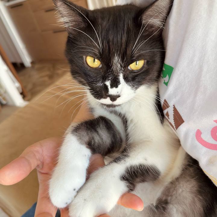 3d96eebe 469d 46c8 880e 908892c8351d 1760148506485