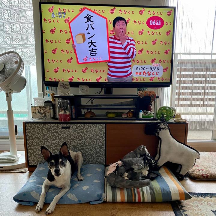 3d96f3ec 0e2c 4cfd 8dd9 b15d5950ccd6 1632089510961