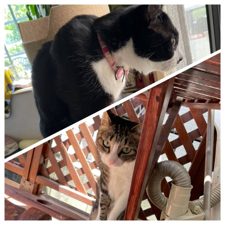 3d96f536 64b2 4ad5 8138 baf5398d8b17 1713341459654