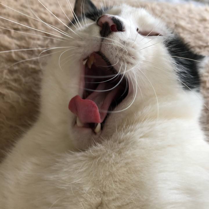 3d971b45 f335 40c0 9417 7dcb5d36ce27 1556862371695