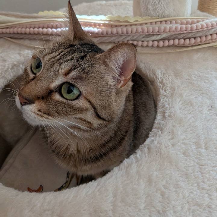 3d9750ba 8ced 418b 96b9 61cf5ac605a7 1771802655552