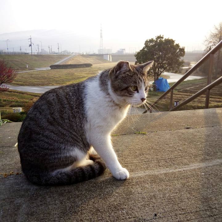 3d9768cb 7dbb 410b a4e8 c655c3714a20 1519645291002