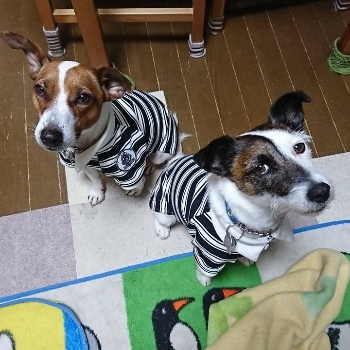 3d977d89 9fdb 4801 8ea6 a3dd4df83a2e 1584653535060