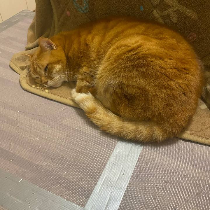 3d979b01 770e 4ef8 8081 bd3fb38b3630 1644958036701