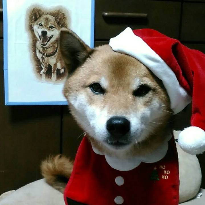 3d98002e c0be 484b 84c8 baa04c49124b 1545734326014