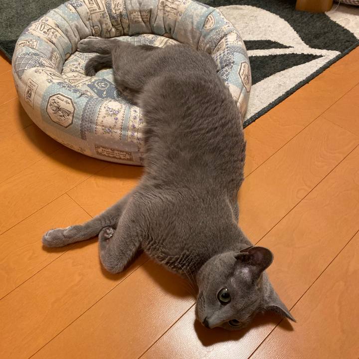 3d981d35 3b1e 4107 b0af 4dac68d609ef 1660027852727