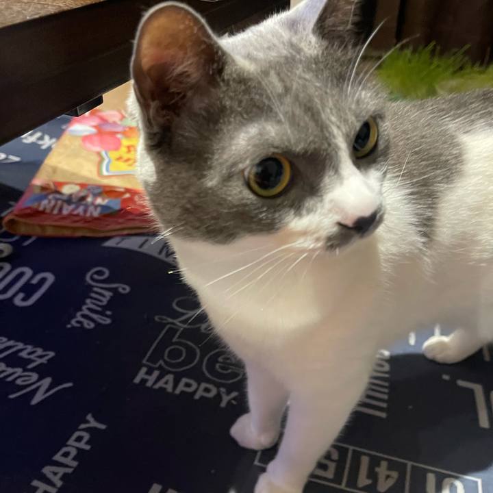 3d984357 999d 4616 a8db 04086534df6c 1748258697356