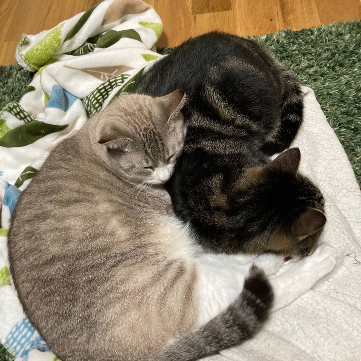 3d9850b8 7eb1 49b0 a8ba c6c1265c8389 1603721491120