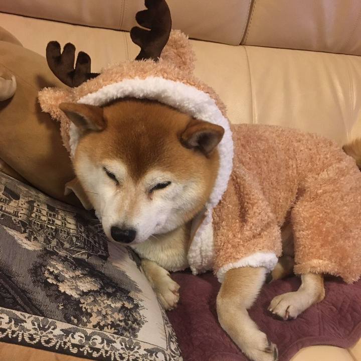 3d985b30 e5da 4a4b ac5f fb4dab1166db 1575976329519