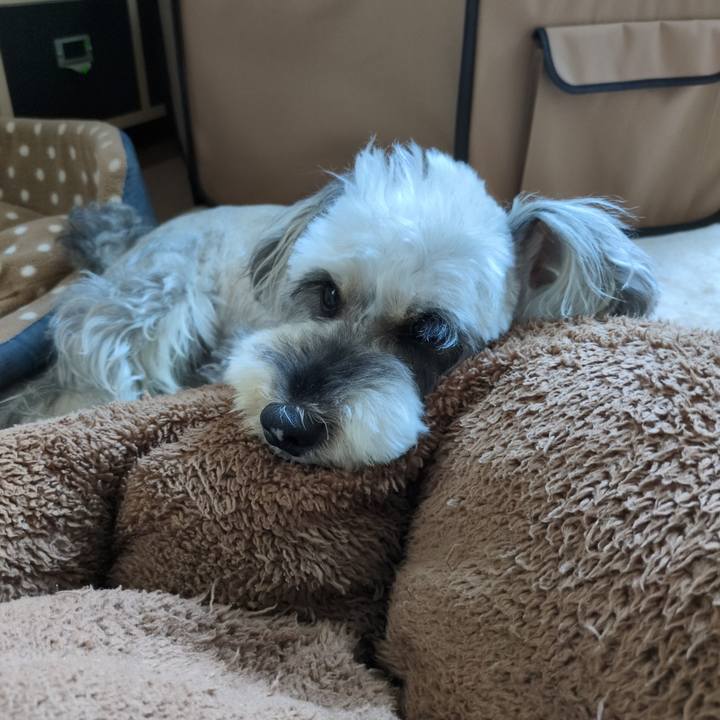 3d9867fd a957 4543 a8b3 d975d44eaf81 1755658474279