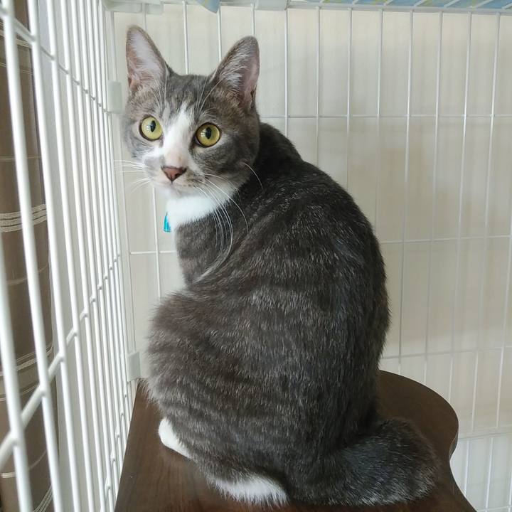 3d9869d7 8185 4516 863a d7482c97d83a 1589413420403