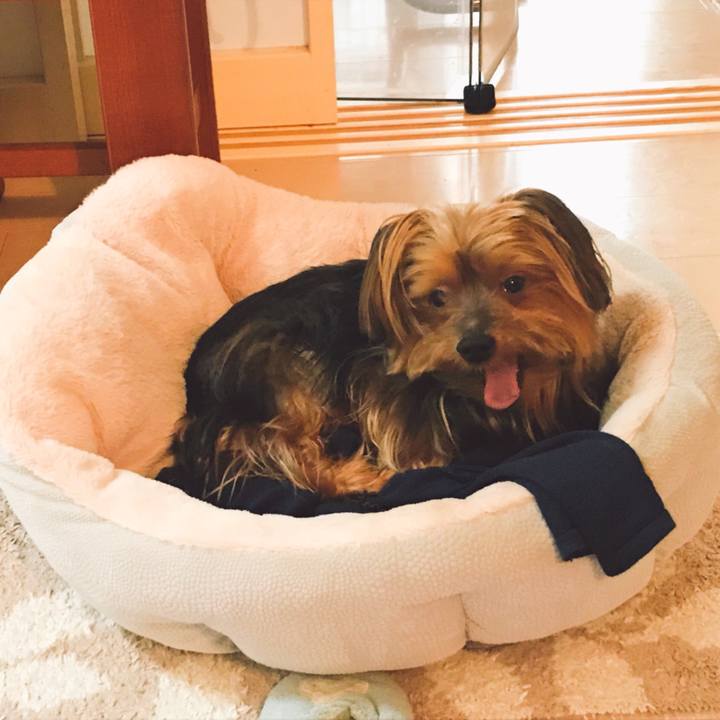 3d9880eb 8ca8 4060 83d3 37fec3df24b2 1537419329439