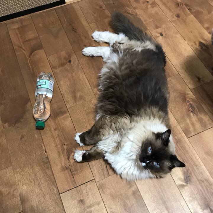 3d989f93 48b7 46a0 a190 22d1e89b6096 1557918421094