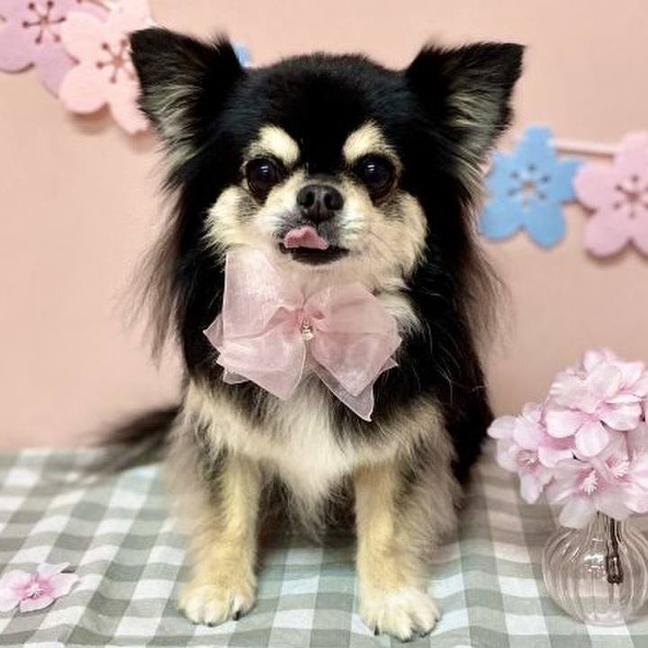 3d98f97c bcc2 494a 8510 c59c5a120292 1758840609550