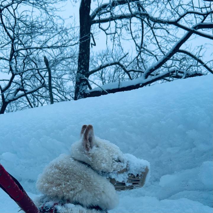 3d98f9a8 26ac 444c 9365 0c6106c64bb8 1768261832837