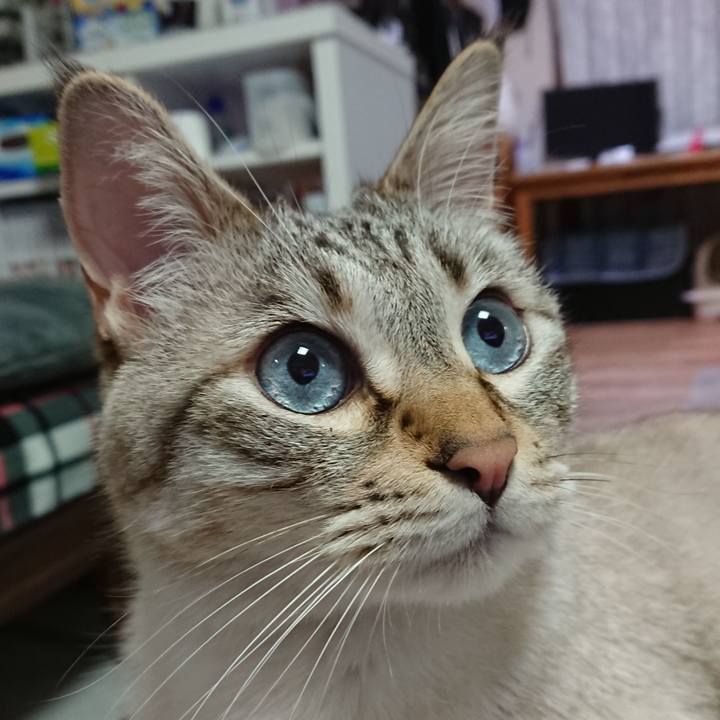 3d9902db 2914 4f4b 8857 0ed78ca35c90 1619000911985