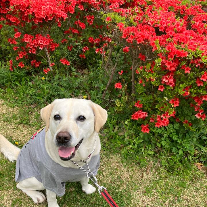 3d990838 a027 4da6 b5e5 061a454caaa6 1680969175122