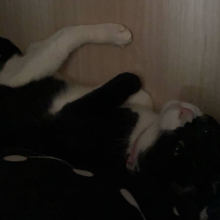 3d9917f1 d25f 4205 911c 2351e75ab140 1620705889058