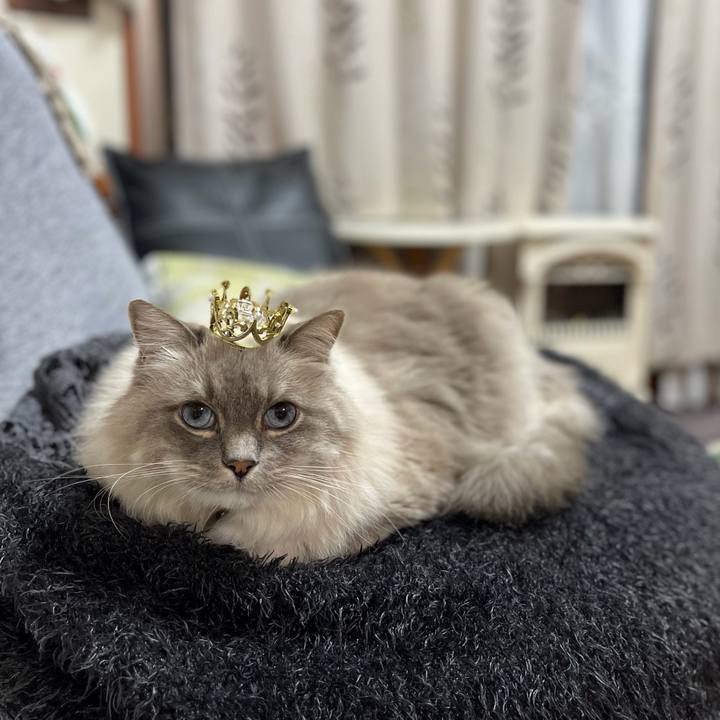 3d99221c 5ff1 429b a205 16bd46b907d7 1764149276777