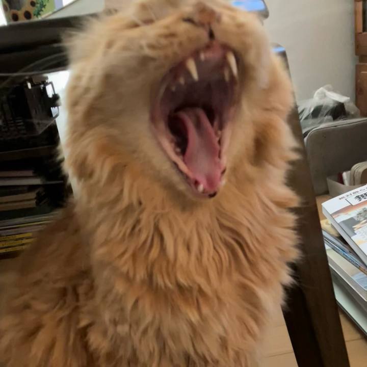 3d995e95 3650 4068 8d33 f475e7474ce4 1759540503224