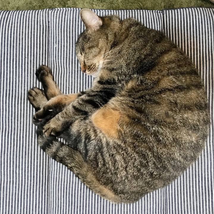 3d9970a7 42e5 41e1 bb7b 6d7c31f7f42d 1596094232968