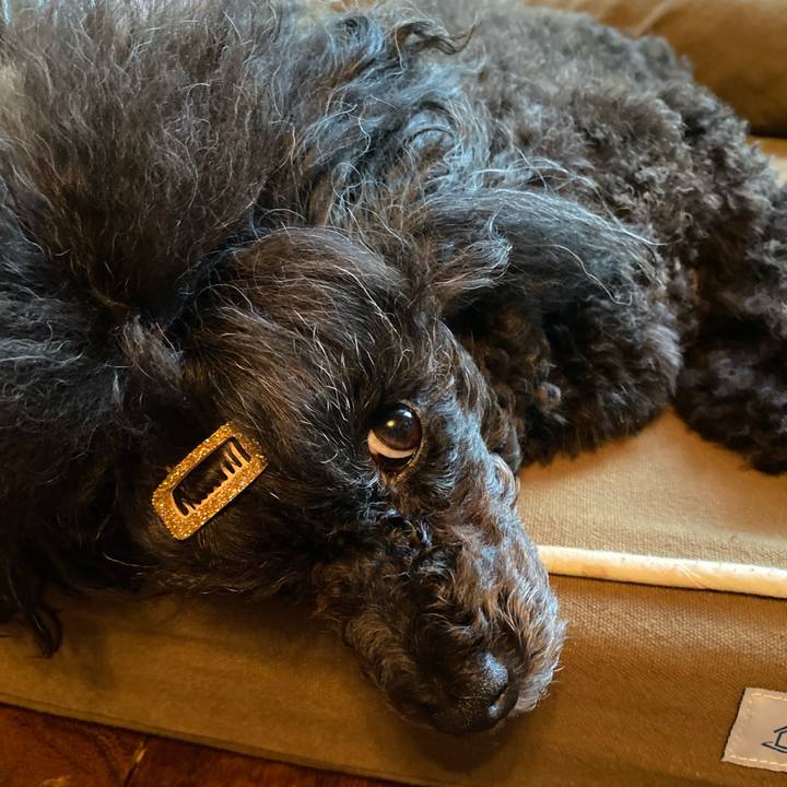 3d9999a3 b2de 4fed 8ce6 5d6944ff4869 1657493261636