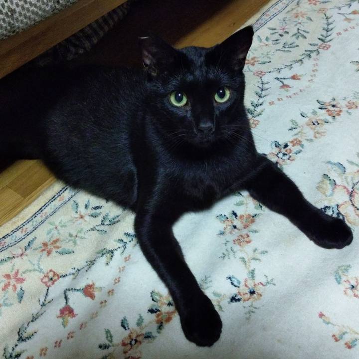 3d99a38f ac58 4fda b6de 1c6b8af9a3d3 1571922681331