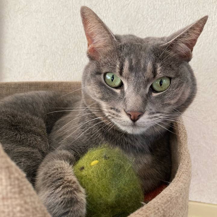 3d99c8cf 8db4 4224 8575 8346f58cbd02 1664079361085