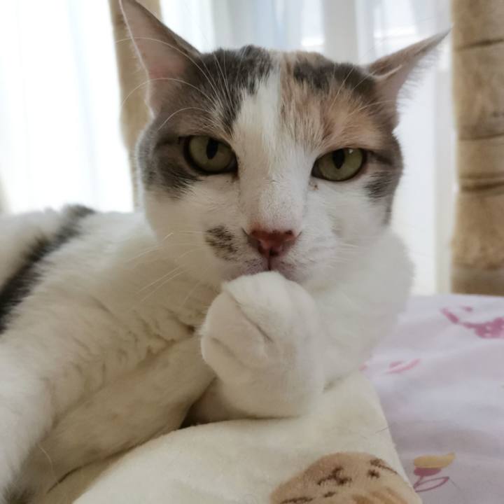 3d9a16e1 5f4f 4356 9628 0520f57114d5 1622535125559