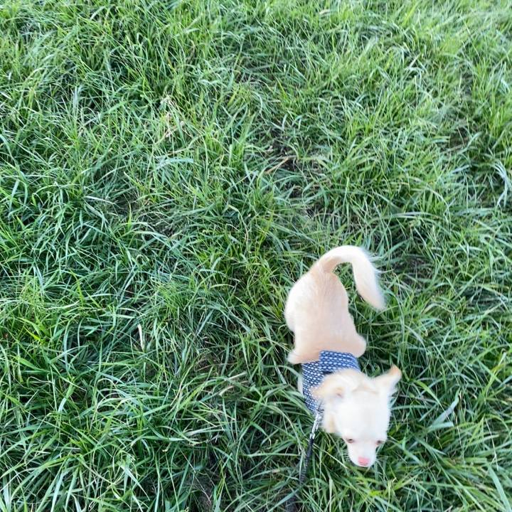 3d9a4317 319c 495d a4f8 ef7ef6199f19 1608718285117