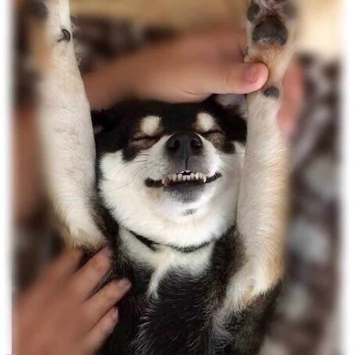 3d9a5016 76d7 4d0f 9d6e c943ab3326bb 1539060766186