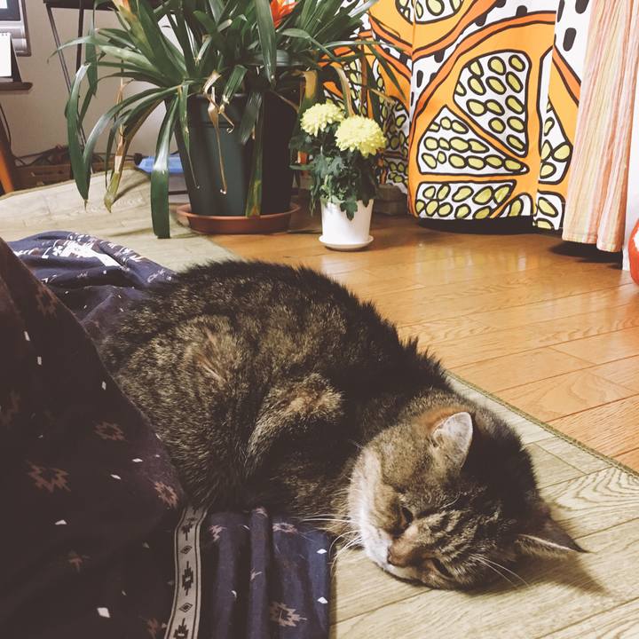 3d9a604b 24a7 4217 9c34 ecbe1804a257 1515149704542