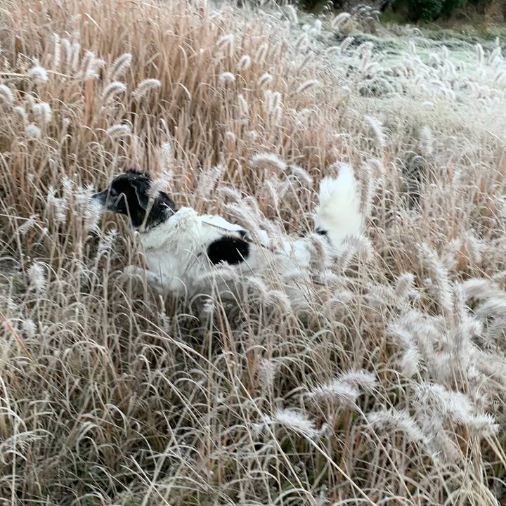 3d9a6c15 c8b7 44ee a7e8 78b845c43afa 1575121698743