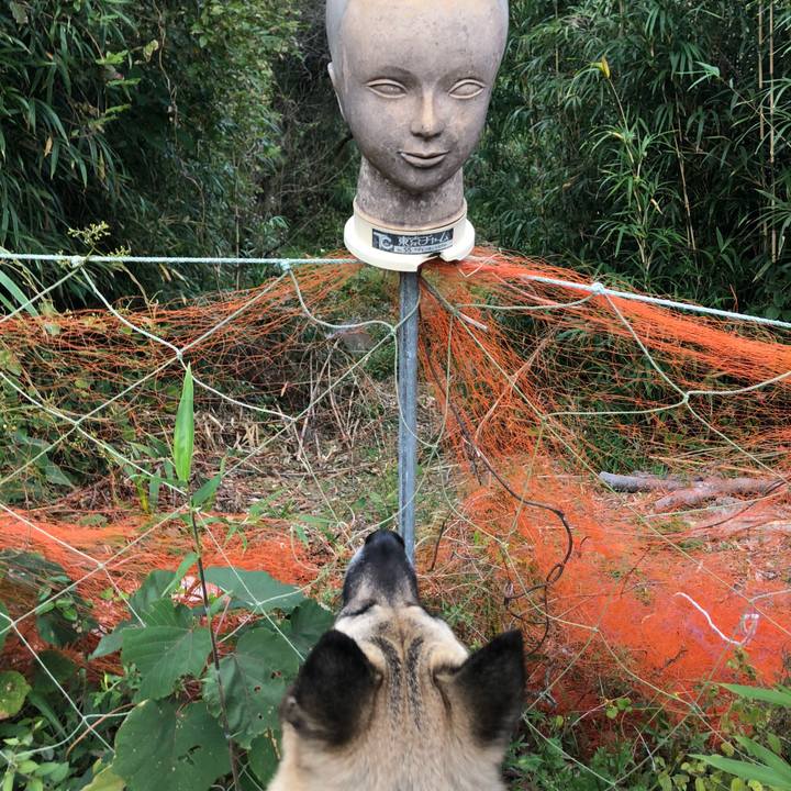 3d9a8397 5002 4799 a055 9fac461c6853 1572686286160