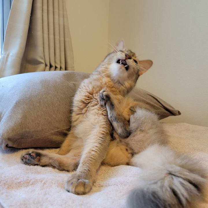 3d9aabce 045b 43ef b179 7d9b7a06d254 1633994361507