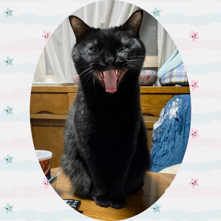 3d9ac0a5 1bb3 47f6 8148 0d0c8851d58d 1646912322977