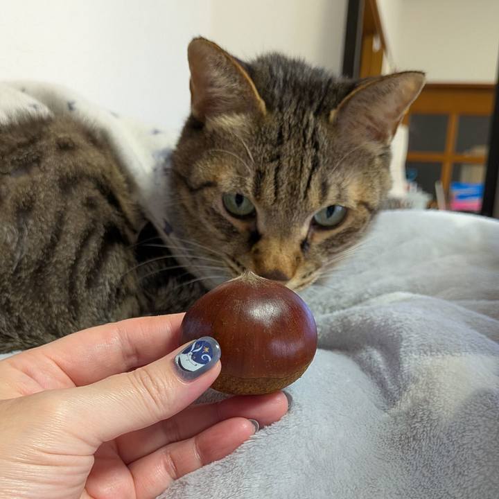 3d9ad0d8 c163 40b2 b261 0fadf5900423 1760156788274